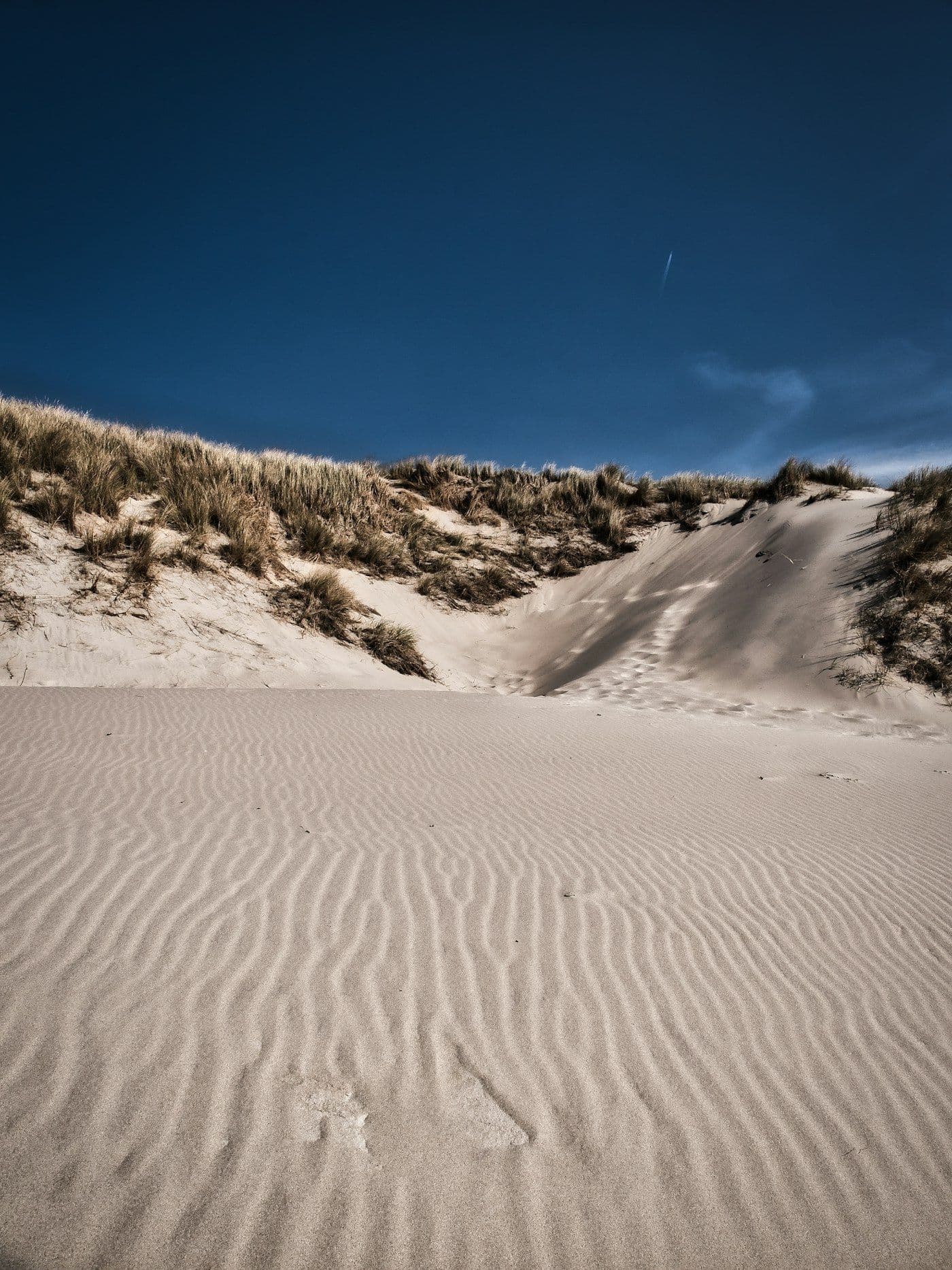 Dunes de sable sous ciel bleu, Baie d'Authie