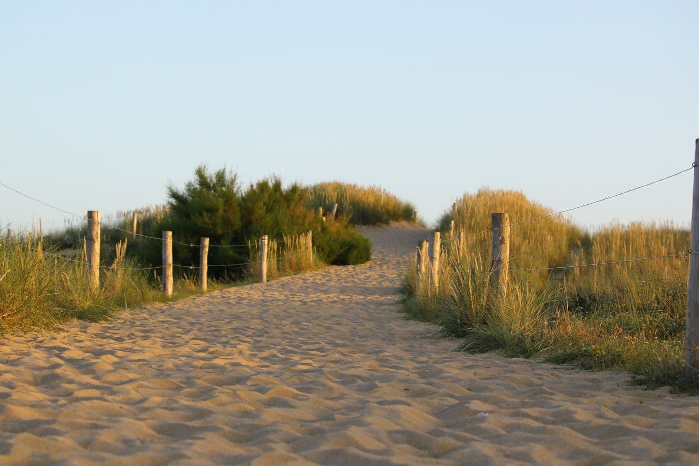 Chemin entre les dunes, lumière dorée, Côte d'Opale